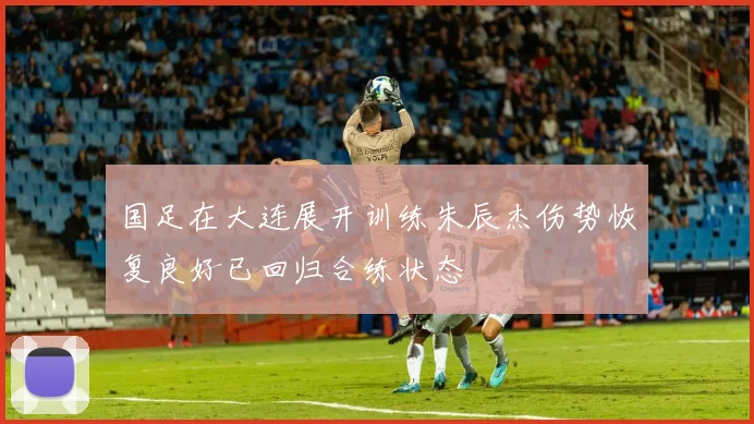 国足在大连展开训练朱辰杰伤势恢复良好已回归合练状态