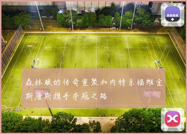 森林狼的传奇重聚加内特乐福维金斯唐斯携手夺冠之路