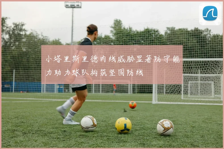 小塔里斯里德内线威胁显著防守能力助力球队构筑坚固防线